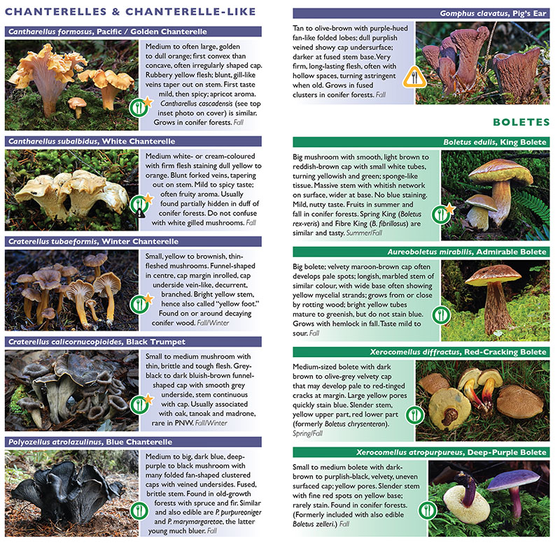 Field Guide to Edible Mushrooms of the Pacific Northwest Mushroaming